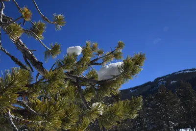 DSC_4918 (Large).JPG